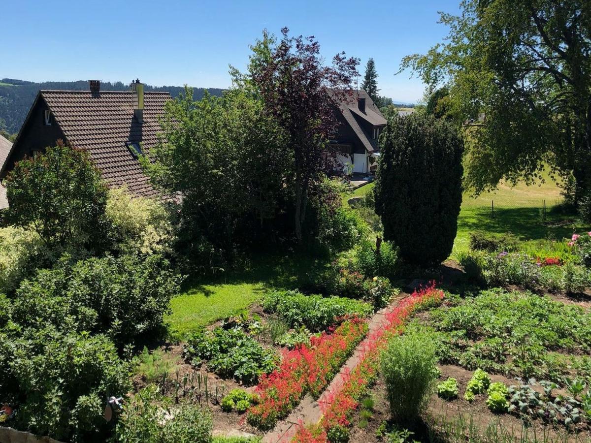 Haus Jurisch Apartman Urberg Kültér fotó